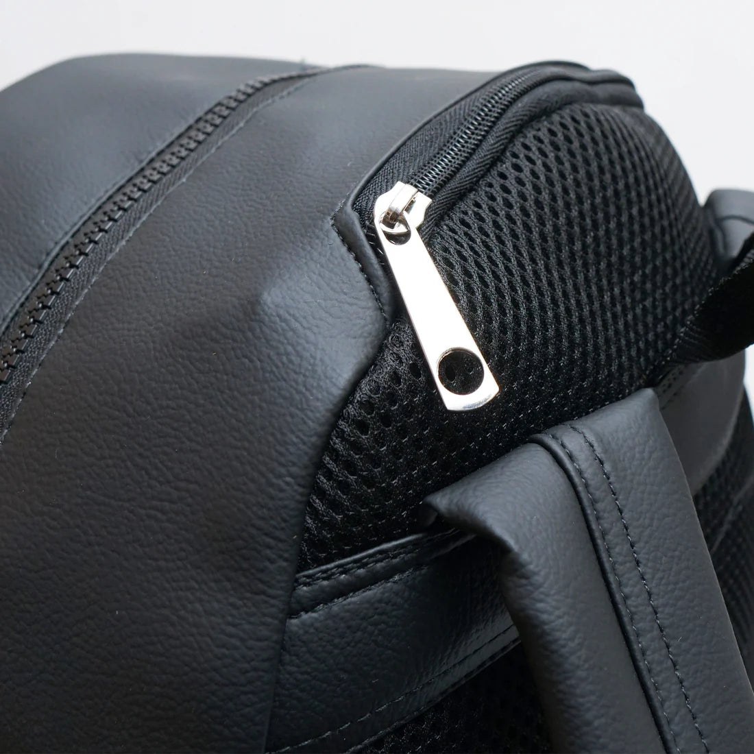 Modish Carry | T-rex Backpack – Travel & School Backpack